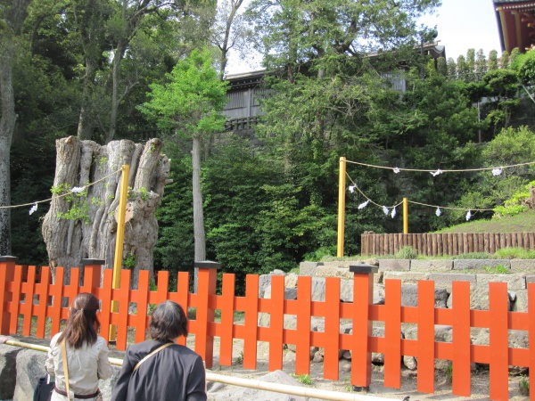 鶴岡八幡宮の大銀杏跡