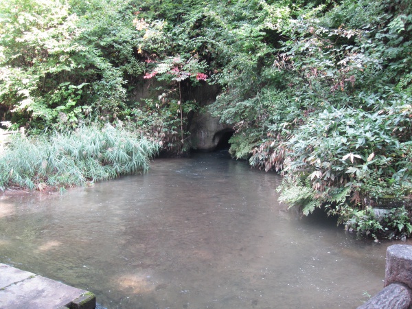 会津若松厳島神社境内の池