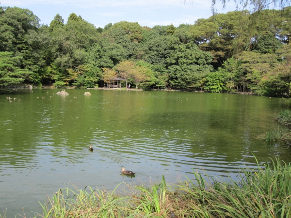 那須乃木神社公園池