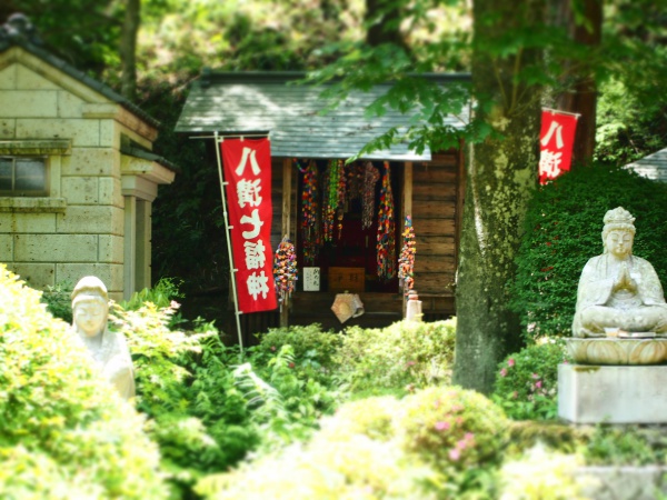 乾徳寺境内風景