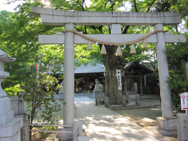 大田区新田神社の鳥居と拝殿