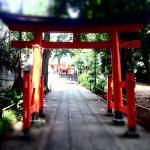 自由が丘　熊野神社の鳥居
