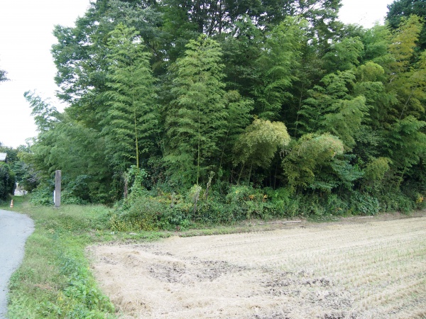 那須神田城跡