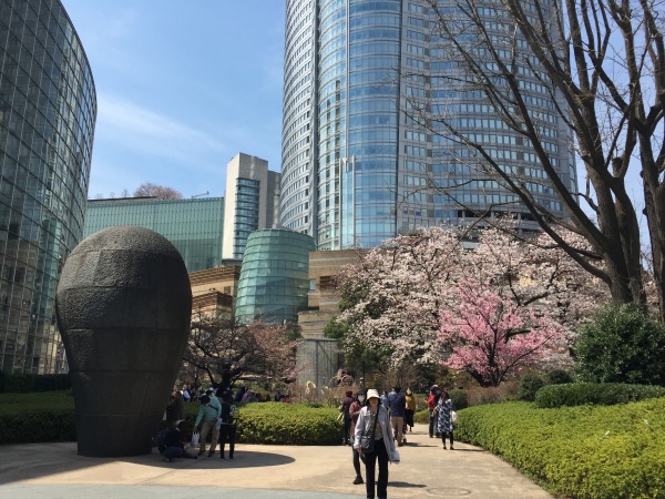 2015年毛利甲斐守邸跡の桜