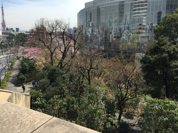 2015年毛利甲斐守邸跡の桜