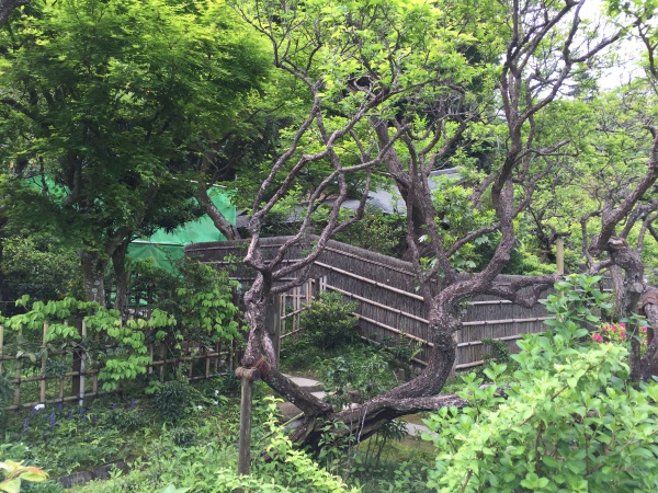 東慶寺の境内庭