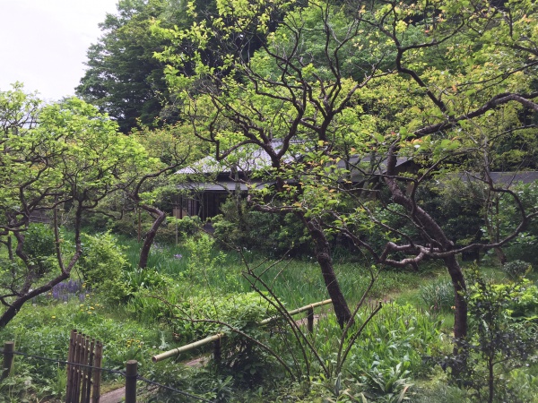 東慶寺の境内風景