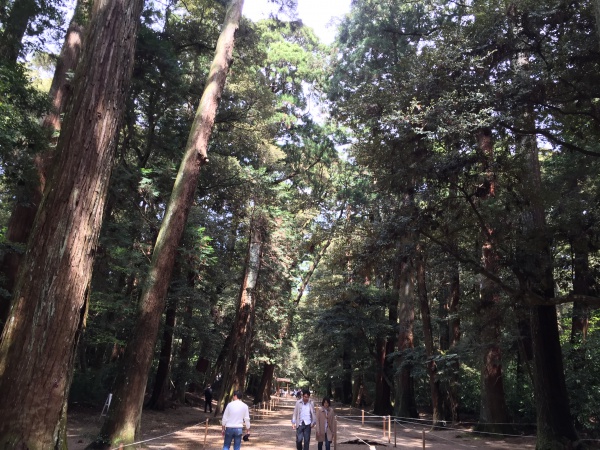 鹿島神宮の奥参道