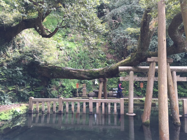 鹿島神宮の御手洗池