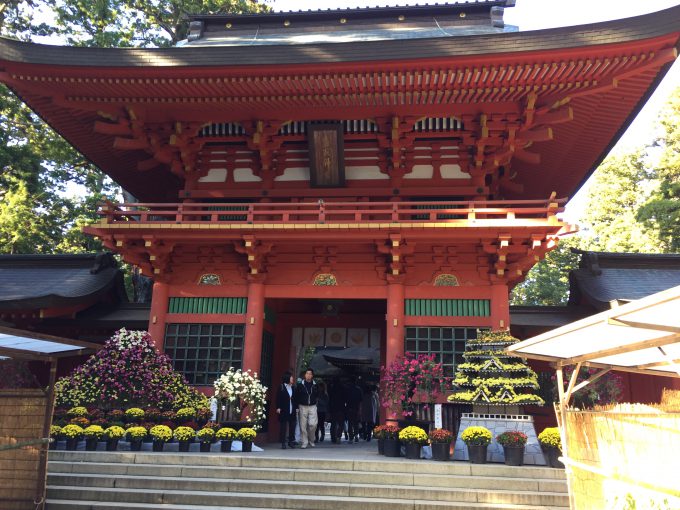 香取神宮の菊祭り