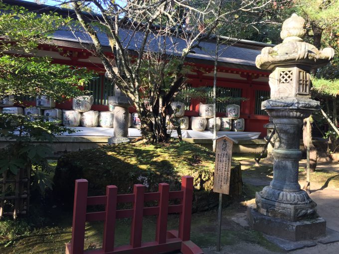 香取神宮の黄門桜