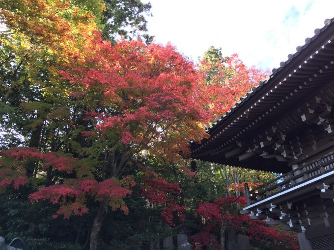 高尾山薬王院の紅葉