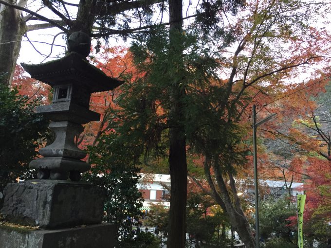 高尾山山麓の不動院前の紅葉