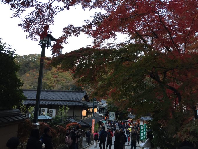 高尾山山麓の紅葉