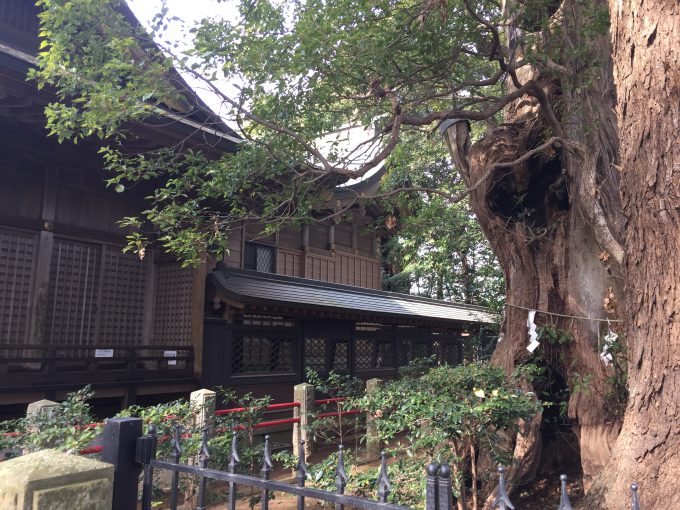 神崎神社（こうざきじんじゃ）の本殿