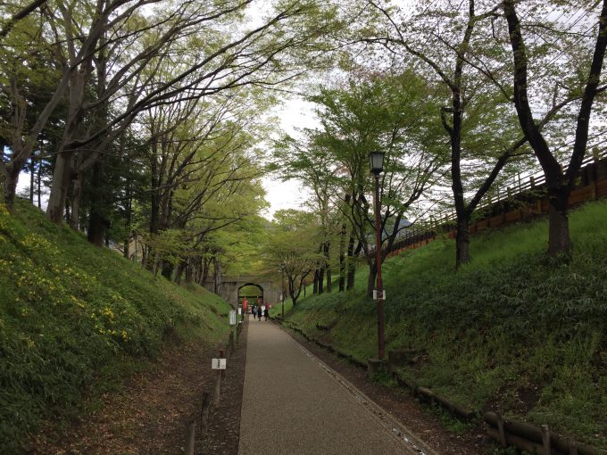 けやき並木遊歩道