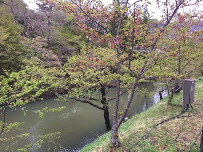 上田城のお堀