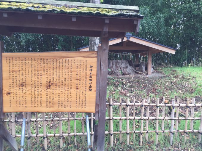 眞田神社の御神木