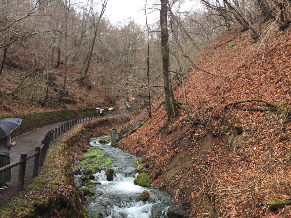 白糸の滝